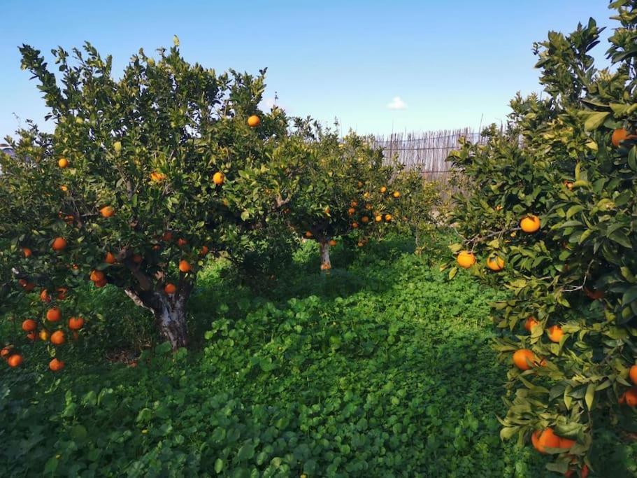 Вилла Gardenparadise Sifnaios In Paros Экстерьер фото